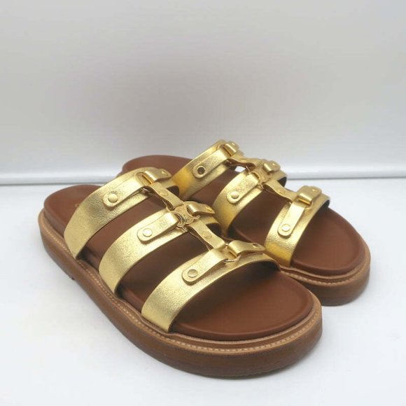 Celine Tippi Triomphe Slide Sandals Gold Metallic Leather Size 40 NEW - Picture 2 of 12